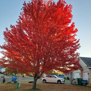 Meet your Posher, Ericka